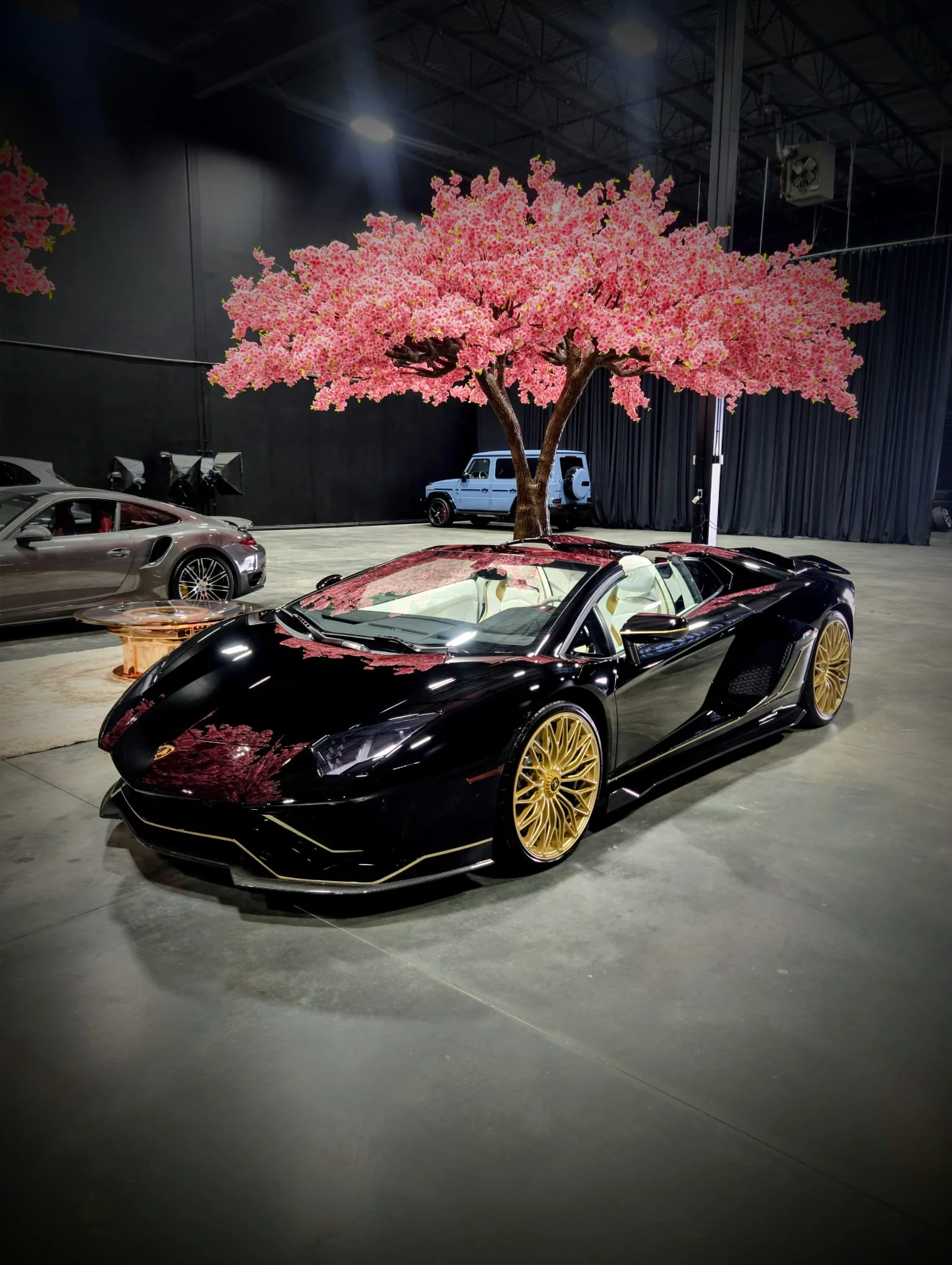 Black Lamborghini with gold wheels photographed in the It's Unique studio
